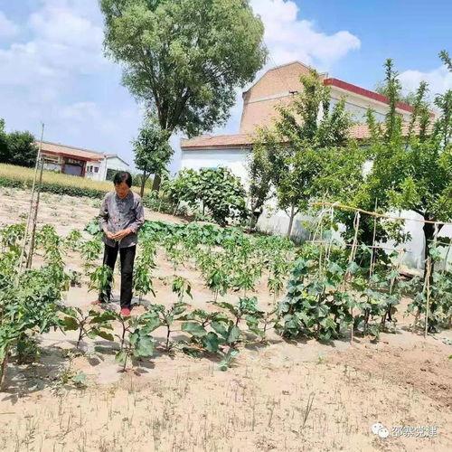 朱子文儿媳爆料婆婆视频,视频曝光惊人内幕  第2张