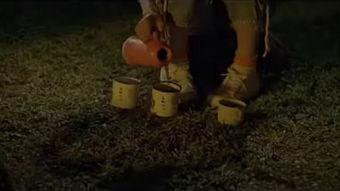 阿根廷夏威夷在线观看,在线畅游南美风情与热带魅力的云端之旅  第2张